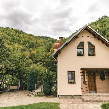 Lodge Zeleni Svet Crni Vrh Exterior foto
