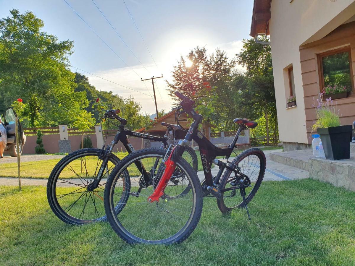 Lodge Zeleni Svet Crni Vrh Exterior foto